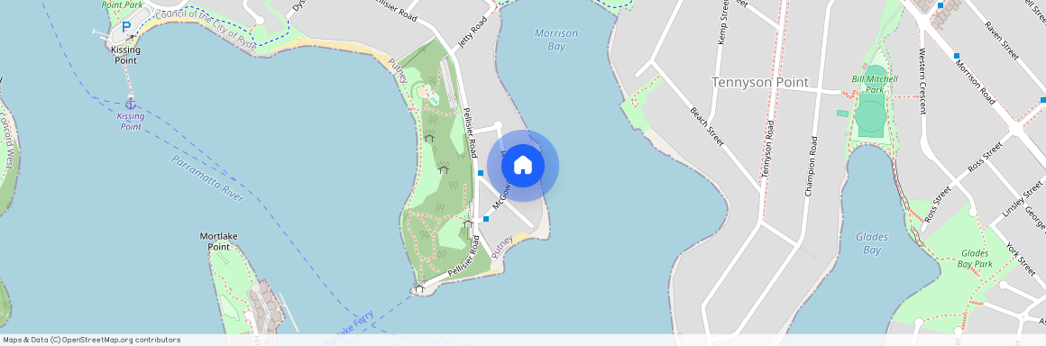 20 McGowan Street, NSW 2112, Putney