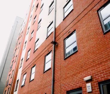 Lower Ground Floor En Suite - Photo 6