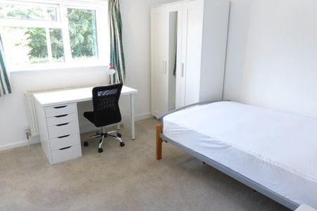 North Park Avenue, Norwich - Photo 5