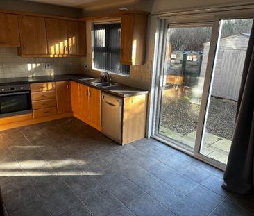 19 Oaktree Manor, Waringstown, BT66 7PG - Photo 4
