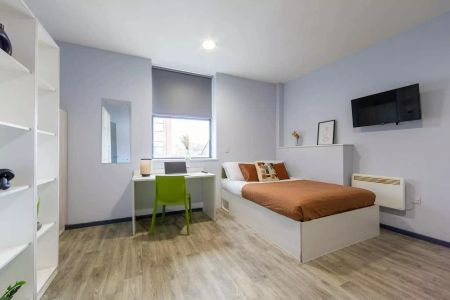 Platinum Accessible Studio - Photo 5