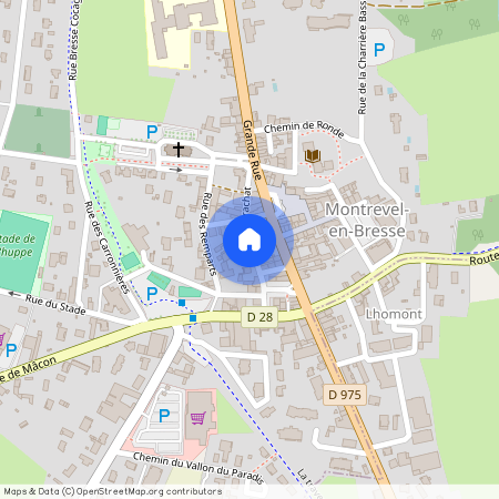 MONTREVEL EN BRESSE 01340