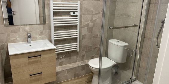 Location Appartement 1 pièce 20m² STRASBOURG 67000 - Photo 3