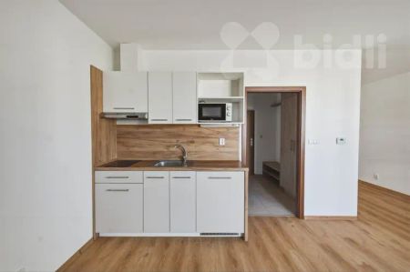 Pronájem bytu 1kk / B, 33 m - Fotografie 4