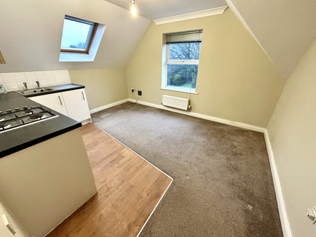 1 bedroom apartment to rent - Photo 3