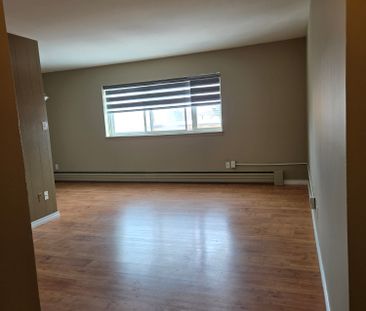 519 Richmond Street, Manitoba, R3G 3J2, Winnipeg - Photo 3