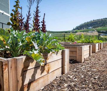 Two Bedroom One Bath - Photo 6