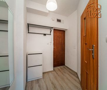 Katowice Załęże, Lisa - Photo 6