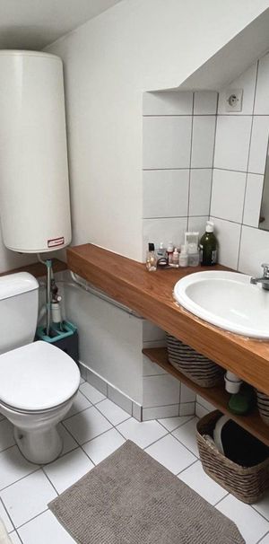 Location Appartement 1 pièce 17m² GRENOBLE 38000 - Photo 1