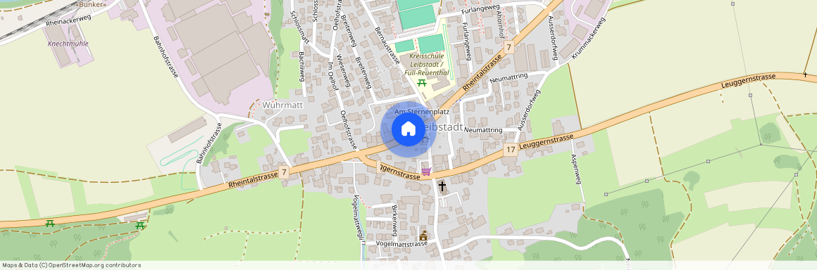 Auf Anfrage, 5325 Leibstadt