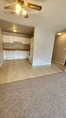 2nd Floor: 208 Thunderbird Apt: 1bd, 1 bath - Photo 1