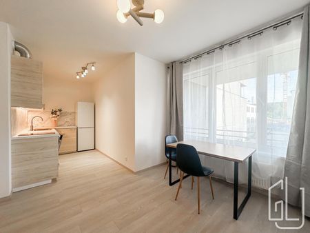 Apartment for rent, 1+KK - Studio, 39m - Photo 5