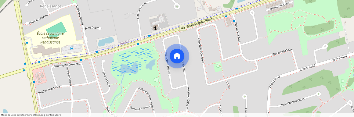 48 Barberry Crescent, Richmond Hill