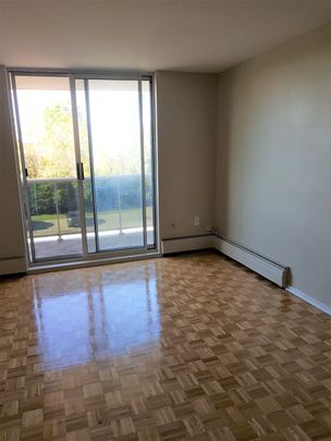 Junior 1 Bedroom - Photo 1