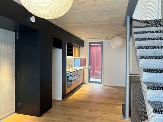 Short term lease in modern two bedroom apartment - Photo 1