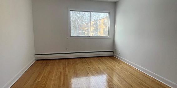 1 CH - 1 SDB - Montréal - $1,300 /mo - Photo 3