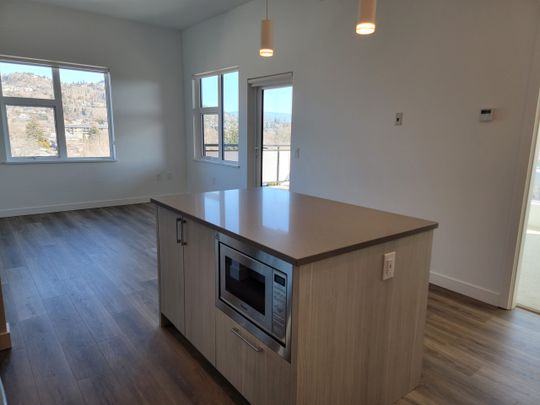 Upscale Corner 1 bdrm + den Condo near Downtown - Photo 1