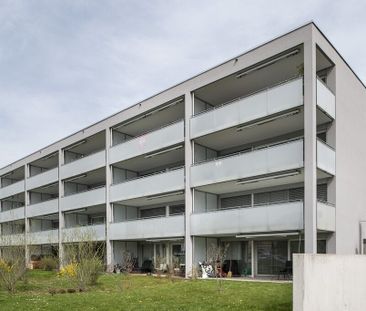 Modern single apartment on the beautiful Lake Constance - Foto 5