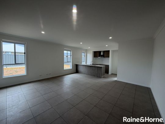 Brand new 4 bedroom home with large yard - Photo 1