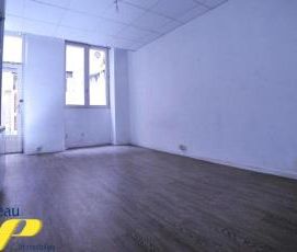 Location Appartement 1 pièce 18m² NANTES 44000 - Photo 6