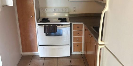1 CH - 1 SDB - Côte Saint-Luc - $1,645 /mo - Photo 3