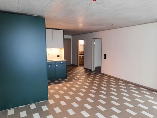 2.5 Zimmer, 58 m², 3. Stock - Foto 1