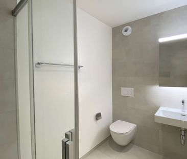 Appartement de 6 pièces en duplex et attique avec terrasse à Onex - Foto 2