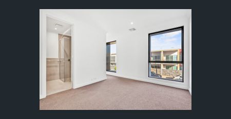 Hi, I'm Brand New and Ready for You... - Photo 4