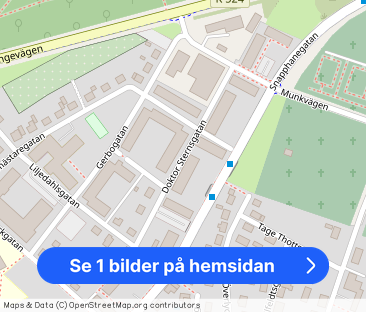 Doktor Sternsgatan, Sölvesborg - Foto 1