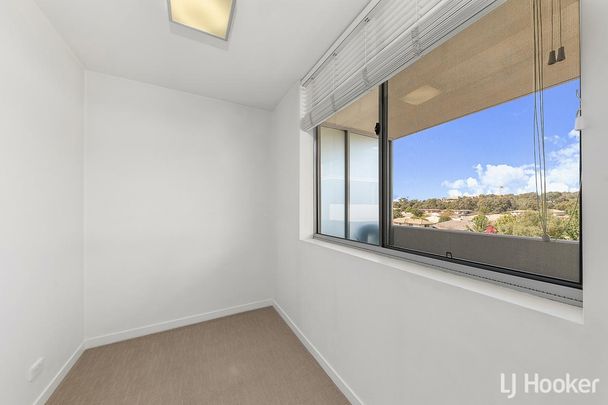 71/8 Baudinette Circuit, Bruce ACT 2617 - Apartment For Rent | Domain - Photo 1