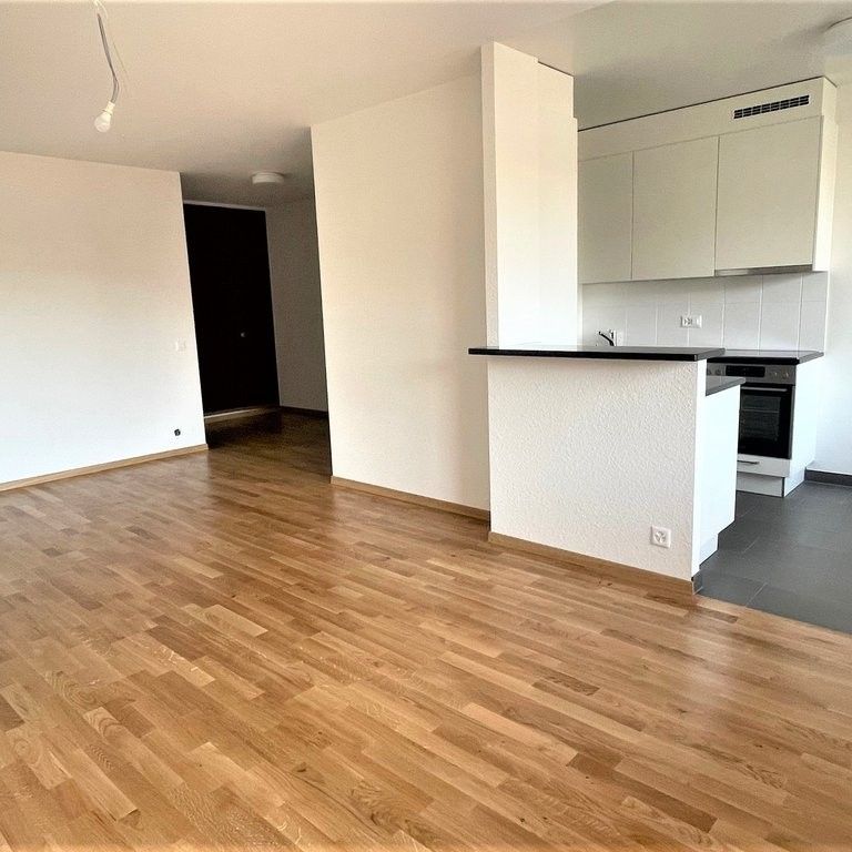 Jonction - Proche quartier des banque et du Rhône - Photo 1