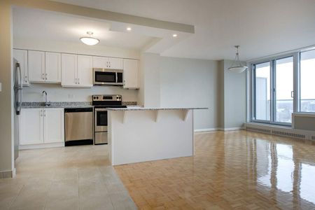 111 Wurtemburg Street, Lower Town, Ottawa, ON - Photo 4