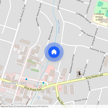 37 Donn Avenue Unit# Lower, Hamilton