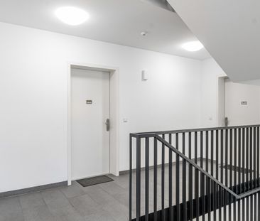 Zur Miete: Urbanes Wohnen in Linz-Urfahr Wohnung mit ca. 57 m² & mi... - Foto 2
