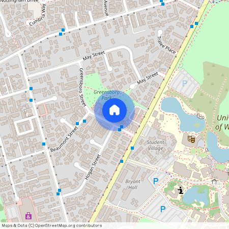 12B Greensboro Street, Hamilton East, Hamilton