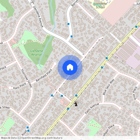 65 Farquhar Road Glendene Waitakere City 0602 New Zealand