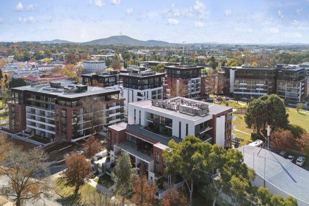 Executive Parkside Apartment Moments from Manuka Village - Photo 1