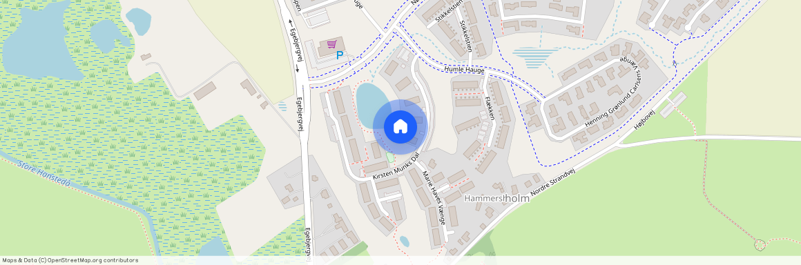 Kirsten Munks Dal 10K, 8700, Horsens