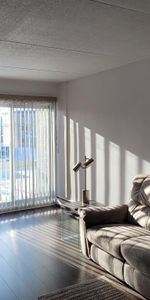 TRÈS GRAND 4 1/2 EN COIN, ENTIÈREMENT RÉNOVÉ, 1295$/MOIS(CHAUFFÉ-EAU CHAUDE), DISPONIBLE À PARTIR DE OCTOBRE OU NOVEMBRE - Photo 3