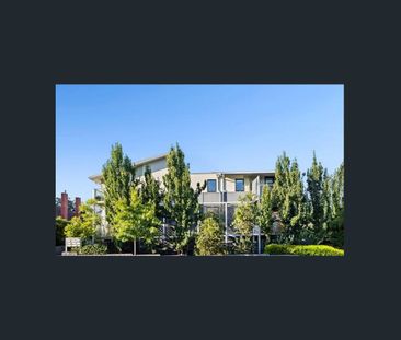 Low-Maintenance Living in a Prime Box Hill South Location - Photo 6