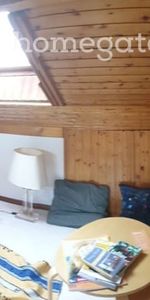 PETIT MAIS BEAU APPARTEMENT - 4 moins sous-location - Photo 3