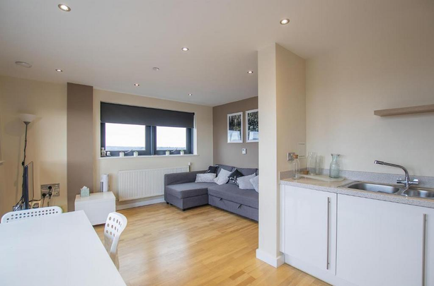 1 bedroom flat to rent - Photo 1