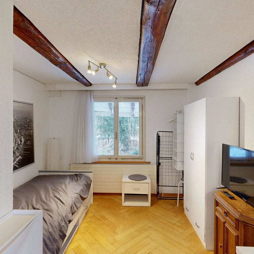 1 Zimmer, 1. Stock - Photo 1