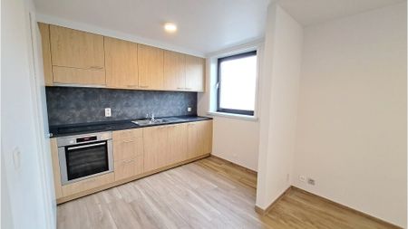 Vernieuwd 1-slaapkamerappartement te huur in Kristus-Koning Brugge - Photo 3