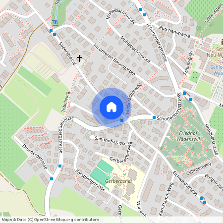 Speerstr, 1, 8820 Wädenswil