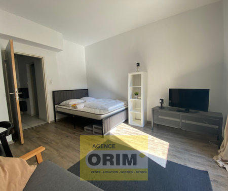 Location Appartement 2 pièces 27m² ST LOUIS 68300 - Photo 2