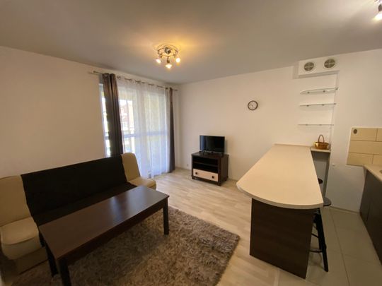 Villa Park – Walczaka 12F - Photo 1