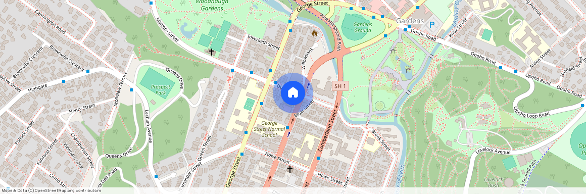 35 Duke Street, Dunedin