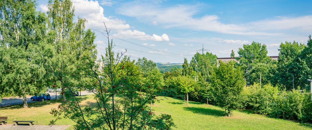 1-Raum-Wohnung mit Blick ins Grüne - Photo 1