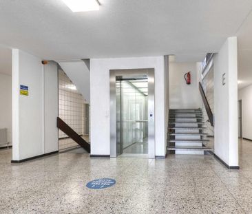 Wohnung für Familien – 3 Zimmer – Toplage in Mainz-Bretzenheim - Photo 3